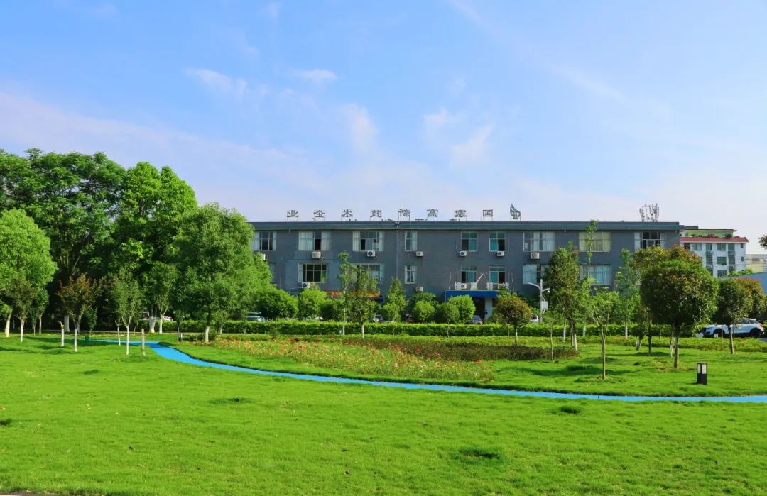 1652083097204272.jpg 7.jpg